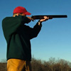 Second Amendment